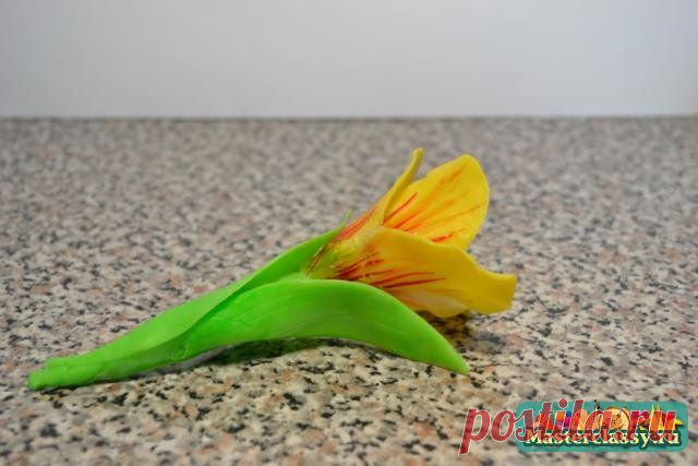 Мыло своими руками. Тюльпан. Мастер класс с пошаговыми фото