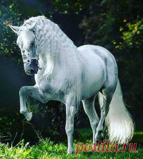 İsimsiz