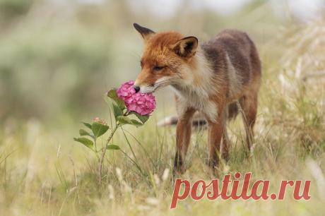 Фотограф Юлиан Рад