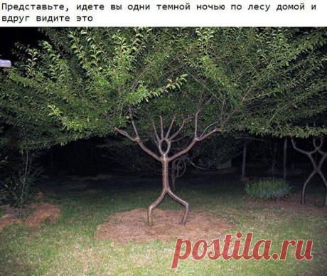 ГАЛИНА КАЗАКОВА(ИУС) - 44 года на Мой Мир@Mail.ru