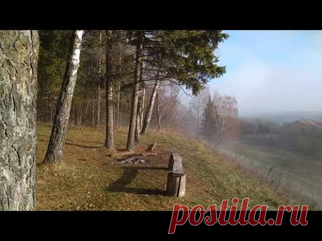 ОСТОРОЖНО , ОПАСНОСТЬ ЗАРАЖЕНИЯ , ПРИВЯЖЕТСЯ НЕ ОТСТАНЕТ
