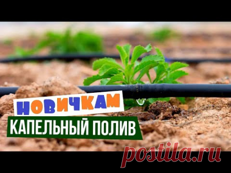 Капельный полив для новичков. Обзор-инструкция от а до я.