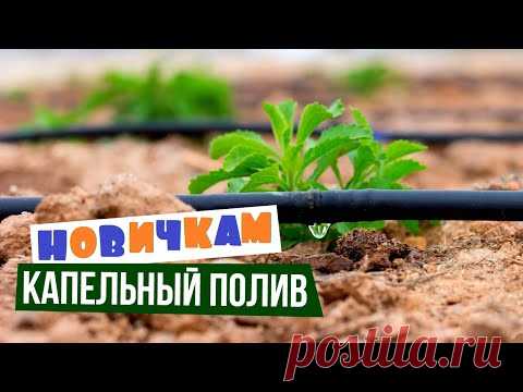 Капельный полив для новичков. Обзор-инструкция от а до я.