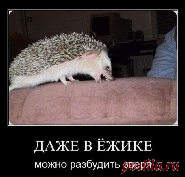 Демотиваторы новые, смешные