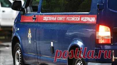 На Ставрополье проверят сообщение о жестоком обращении физрука с детьми. В Зеленокумске Советского округа Ставропольского края следователи СКР проверяют информацию о жестоком обращении учителя физкультуры с детьми. Читать далее