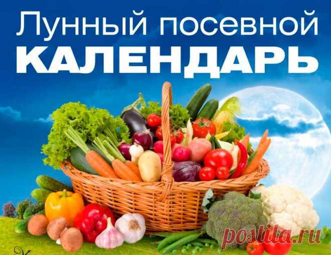 ЛУННЫЙ посевной КАЛЕНДАРЬ на 2022 год для садовода и огородника. Таблица посева рассады по месяцам с фазами Луны