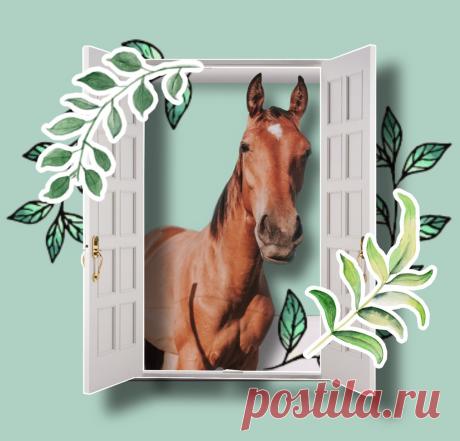 Как правильно: «лошадЬми» или «лошадЯми», «дверЬми» или «дверЯми»? Запоминаем легко и быстро | Беречь речь | Яндекс Дзен