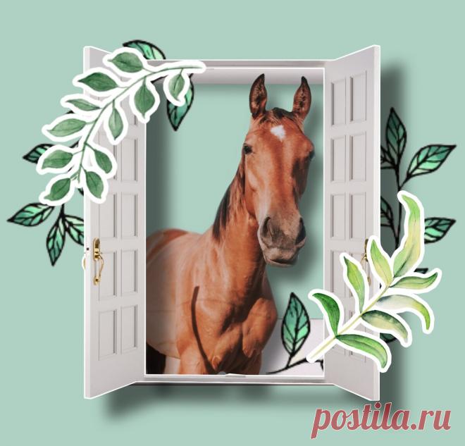 Как правильно: «лошадЬми» или «лошадЯми», «дверЬми» или «дверЯми»? Запоминаем легко и быстро | Беречь речь | Яндекс Дзен