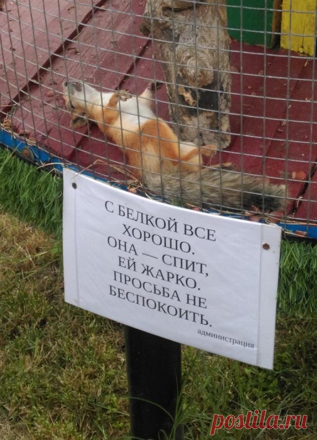 18 объявлений, мимо которых невозможно пройти