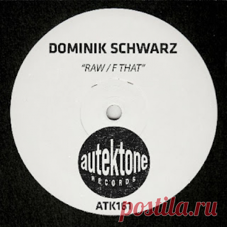 lossless music  : Dominik Schwarz - Raw / F That (free dl)