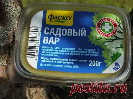 Садовый вар — эффективное средство для обработки деревьев
Садовый вар — незаменимое средство при работе с деревьями. Мазь на основе натуральных компонентов. Применяется для обработки ран на деревьях, плодовых и декоративных кустарниках. Применение садового вара. Иллюстрация для статьи используется по стандартной лицензии ©life-hacky.ru Применение садового вара. Иллюстрация для статьи используется...
Читай дальше на сайте. Жми подробнее ➡