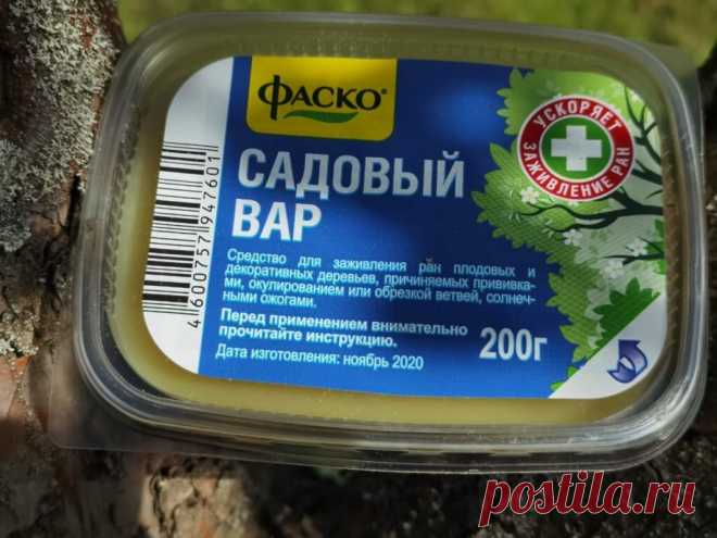 Садовый вар — эффективное средство для обработки деревьев
Садовый вар — незаменимое средство при работе с деревьями. Мазь на основе натуральных компонентов. Применяется для обработки ран на деревьях, плодовых и декоративных кустарниках. Применение садового вара. Иллюстрация для статьи используется по стандартной лицензии ©life-hacky.ru Применение садового вара. Иллюстрация для статьи используется...
Читай дальше на сайте. Жми подробнее ➡