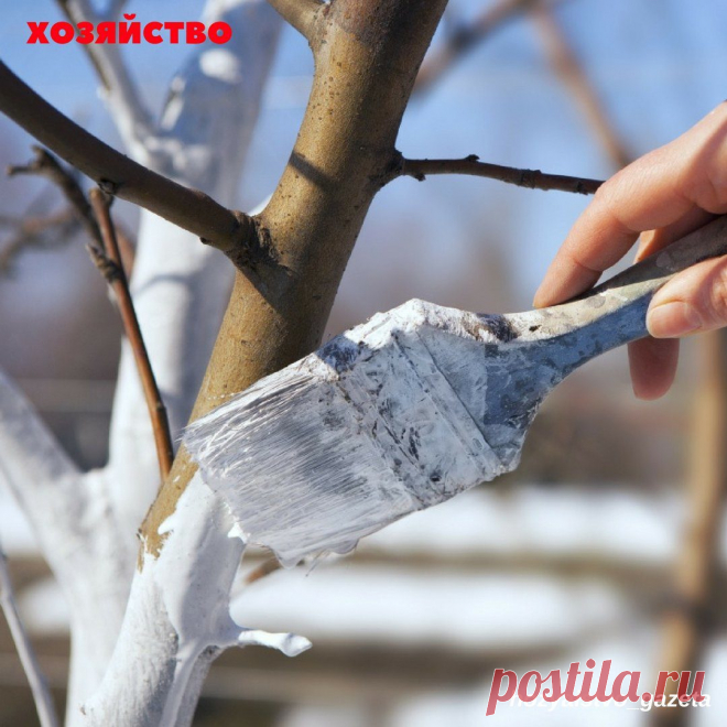 Одноклассники