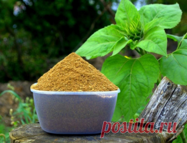 Способы применения костной муки на огороде, ее преимущества — Домашние заботы