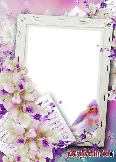 Photo frame Flower music, roses. Transparent PNG Frame, PSD Layered Photo frame template, Download.