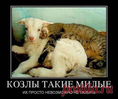 Мини - байки / Приколы