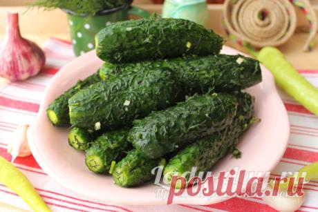 Малосольные огурцы с чесноком и зеленью быстрого приготовления в пакете. Рецепт с пошаговыми фото | Простые рецепты с фото
