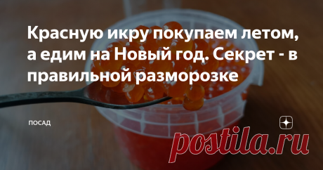 Красную икру покупаем летом, а едим на Новый год. Секрет - в правильной разморозке Мало купить хорошую икру. Важно её правильно сохранить.