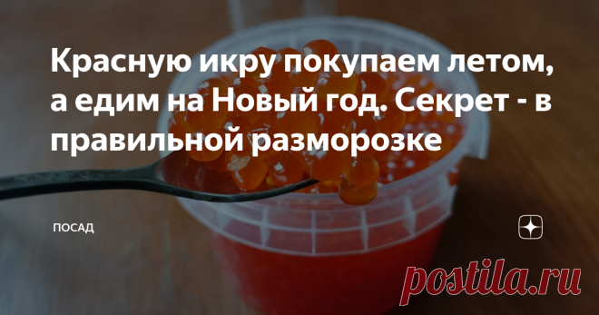 Красную икру покупаем летом, а едим на Новый год. Секрет - в правильной разморозке Мало купить хорошую икру. Важно её правильно сохранить.