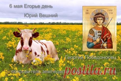 Поздравляю с Егорием Вешним! Пусть святой Георгий Победоносец хранит ваш дом от лиха, приносит в сердце покой, а в жизнь — удачу и победу во всех делах. Открытки на Егорий Вешний (Юрьев день)!