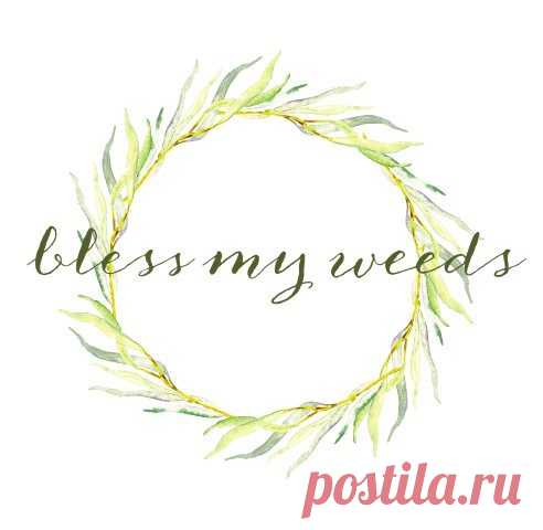 Простые советы для выращивания лаванды