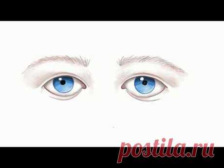 Как нарисовать глаза? Мастер-класс для начинающих кукольников.