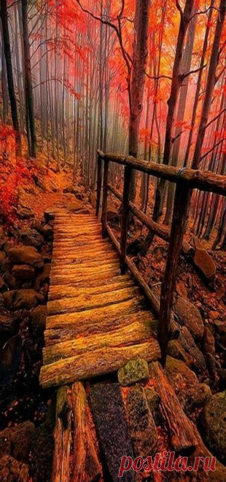 Fall, Italy ✿⊱╮ beautiful amazing - Beautiful Pictures Amazing