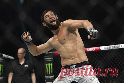 Махачев прокомментировал чемпионство Чимаева в UFC