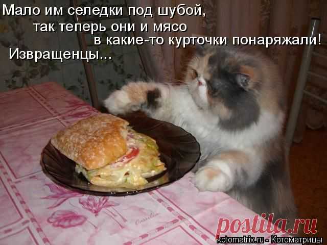 Котоматрица: Круть