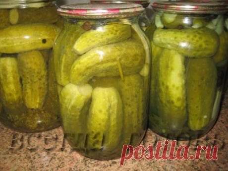 +МАРИНУЕМ ОГУРЦЫ