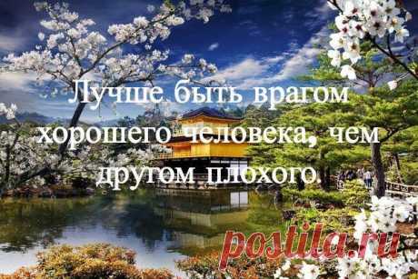 Японская мудрость. | НАШ ГОРОДОК