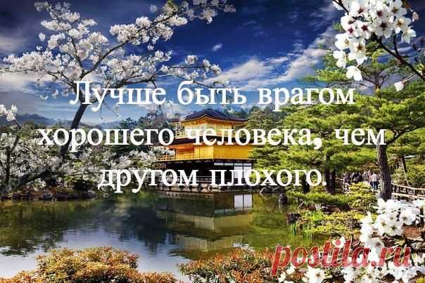 Японская мудрость. | НАШ ГОРОДОК