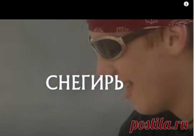 ОСТАВШИЙСЯ СИРОТОЙ СНЕГИРЬ РЕШАЕТ ПОХИТИТЬ БРАТИШКУ ИЗ РОДДОМА | СНЕГИРЬ