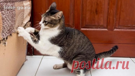 10 суперспособностей уксуса, о которых вы не догадывались