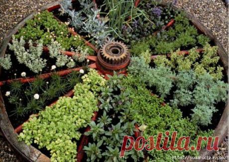 Оригинальные клумбы для дачи. Идея для вдохновения | Умелые ручки