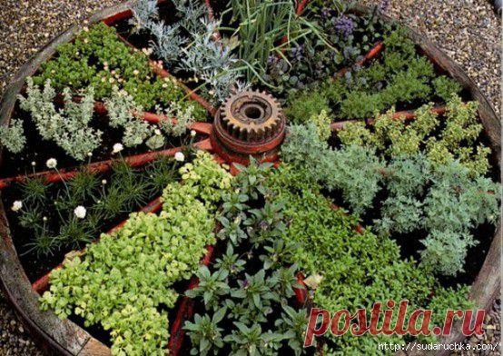 Оригинальные клумбы для дачи. Идея для вдохновения | Умелые ручки
