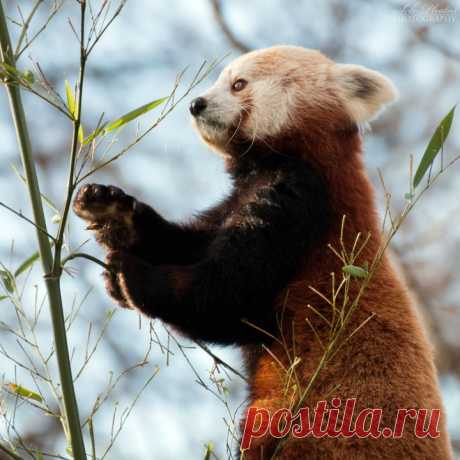 Мир | Группы Мой Мир