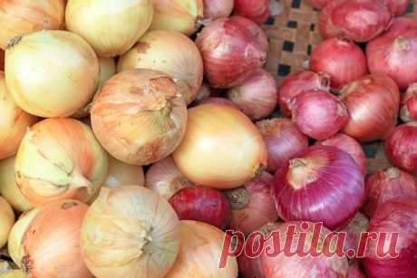 Семь причин никогда не выбрасывать луковую шелуху - KitchenMag.ru