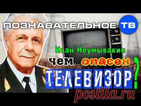 Чем опасен телевизор? (Познавательное ТВ, Иван Неумывакин)
