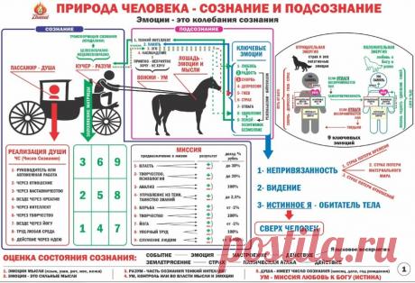 сюцай таблицы - 118 картинок - Поиск Mail.Ru