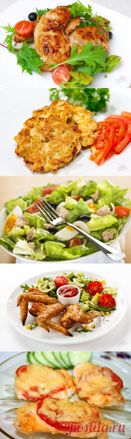 Десять лучших рецептов из курицы