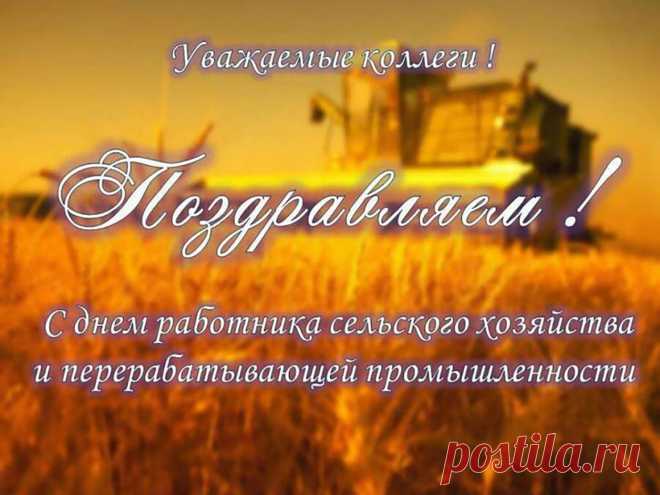 Низкий вам поклон, ребята
Кто работает с землей.
Пусть достойной будет плата,
Дух как прежде, боевой!