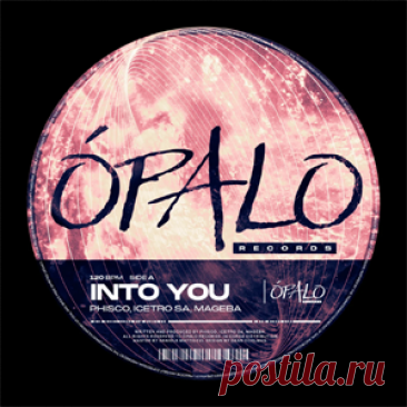 Phisco, IceTro SA, Mageba - Into You | 4DJsonline.com