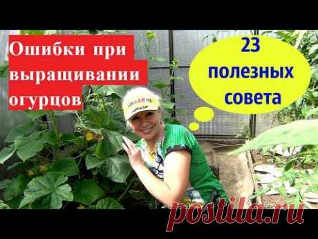👍Ошибки при выращивании огурцов.23 полезных совета. 👍