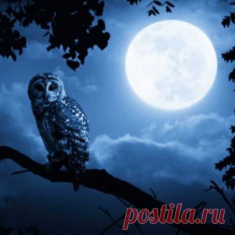 Интересно Слова-обереги о которых нужно знать