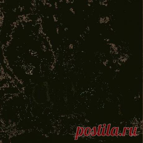 Живые фотографии – Сообщество – Google+