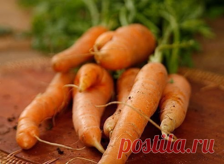 Как приготовить морковь по-корейски в домашних условиях. 
 
Я давно изучала вопрос как приготовить морковь по корейски в домашних условиях и перепробовала не один рецепт. Иногда лучше то, что проще и этот рецепт тому доказательство. Вам понадобится минут 10 свободного времени и вкусная, свежая, ароматная морковка по корейски будет готова. 
 
Вам потребуется: 
 
400 г моркови 
5 зубчиков чеснока 
 ч.л соли 
1 ст. л сахара 
 ч.л черного молотого перца 
 ч.л молотого кориандр...
