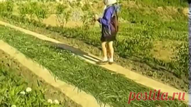 Слава Богу за всё