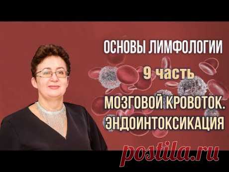 Основы лимфологии | Мозговой кровоток. Эндоинтоксикация | Шишова Ольга | часть 9