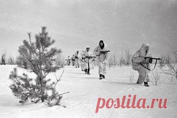 5 декабря: какой праздник отмечают в России и мире. 5 декабря в России отмечают День начала контрнаступления советских войск против гитлеровцев в битве под Москвой, а в мире — День почв и День добровольцев. «Лента.ру» рассказывает, какие еще праздники отмечают 5 декабря 2025 года в России и в других странах, а также напоминает, кто из знаменитостей родился в этот день.